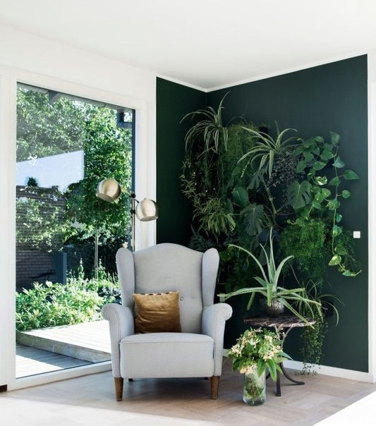 Comment décorer une pièce avec des plantes tropicales? Déco-exotique.fr