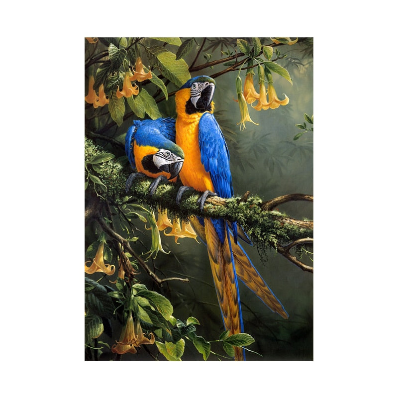 Affiche Jungle Couple Perroquet Déco-exotique.fr