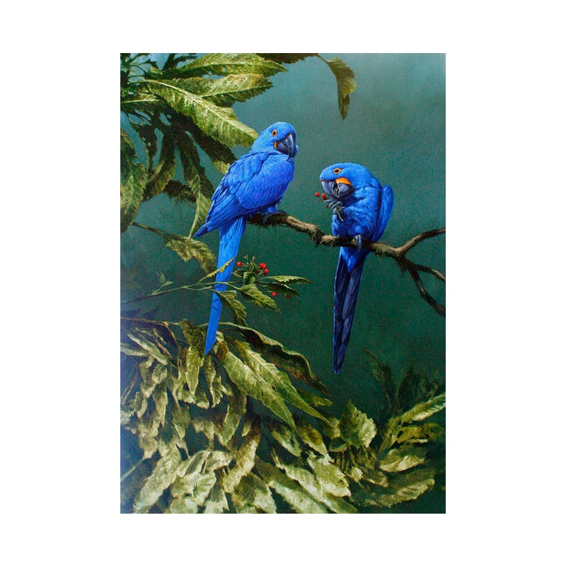 Affiche Jungle Couple Perroquet Déco-exotique.fr