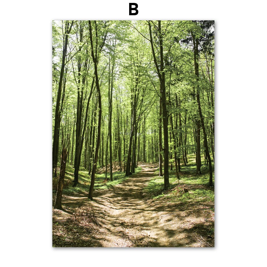 Affiche animaux Jungle et Forêt Déco-exotique.fr