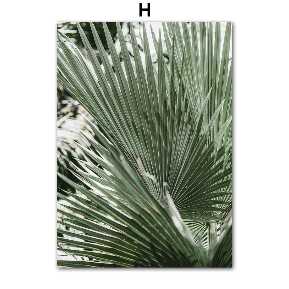 Affiche Jungle Urbaine Déco-exotique.fr