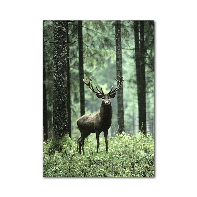 Affiche Nature Déco-exotique.fr