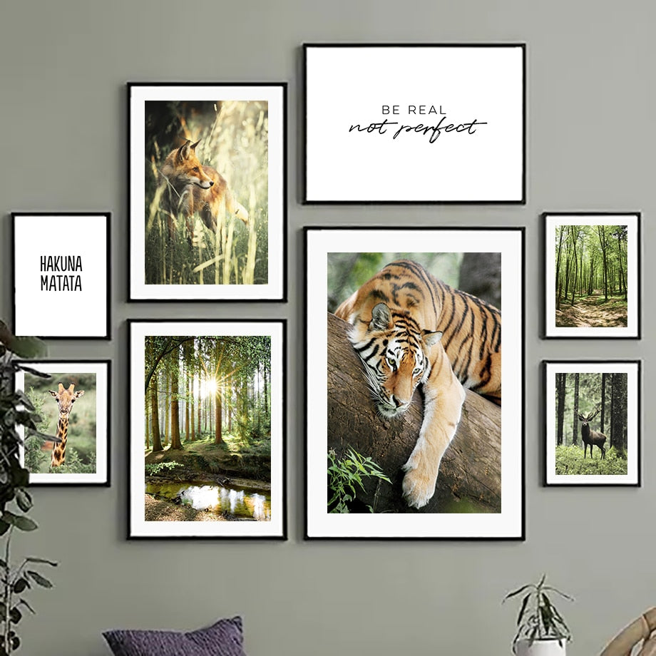 Affiche animaux Jungle et Forêt Déco-exotique.fr