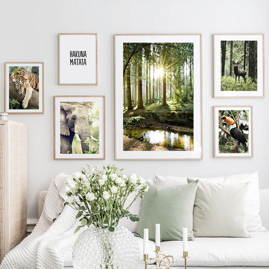 Affiche animaux Jungle et Forêt Déco-exotique.fr