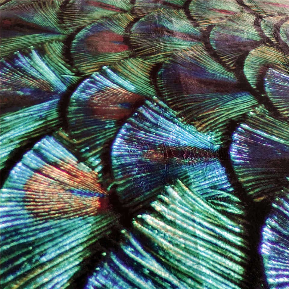 Tapis Paon Déco-exotique.fr