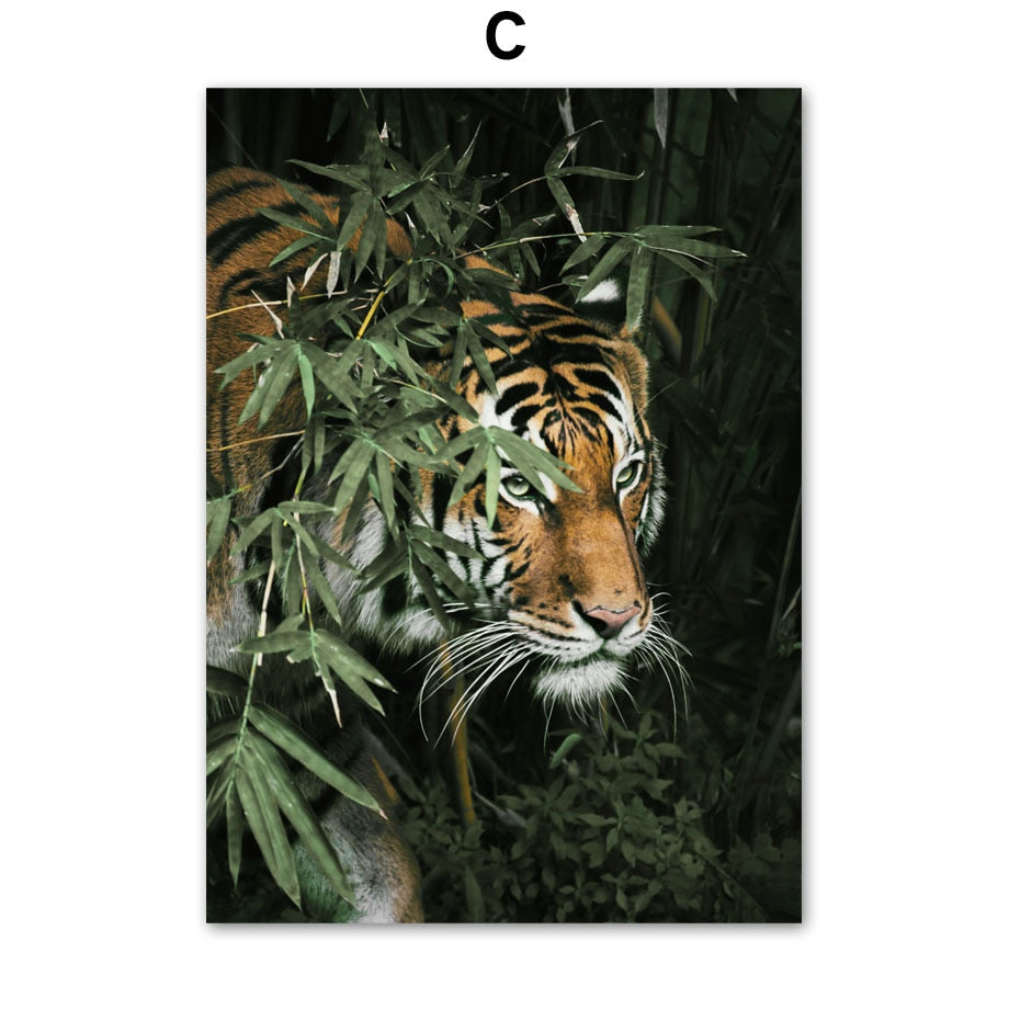Affiche Jungle Coco Déco-exotique.fr