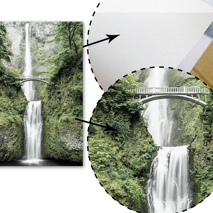 Poster Jungle Délicate Déco-exotique.fr