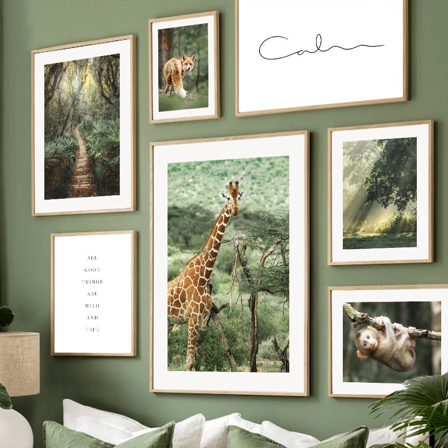 Affiche Jungle Coco Déco-exotique.fr