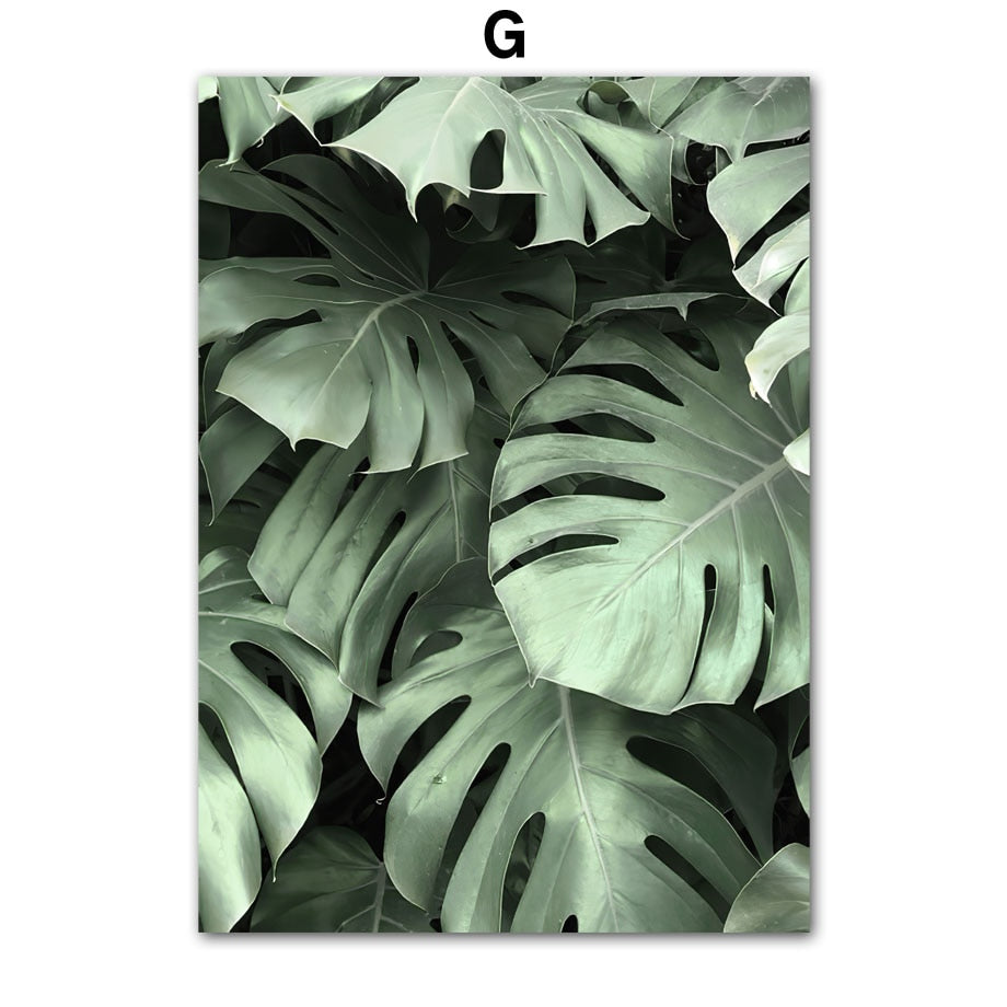 Affiche Jungle Urbaine Déco-exotique.fr