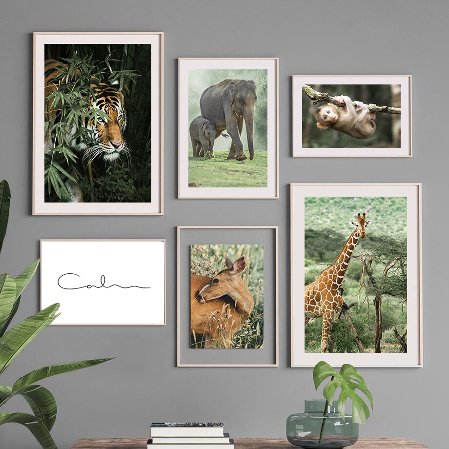 Affiche Jungle Coco Déco-exotique.fr