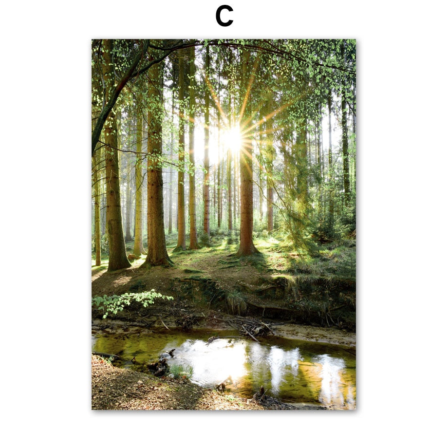 Affiche animaux Jungle et Forêt Déco-exotique.fr