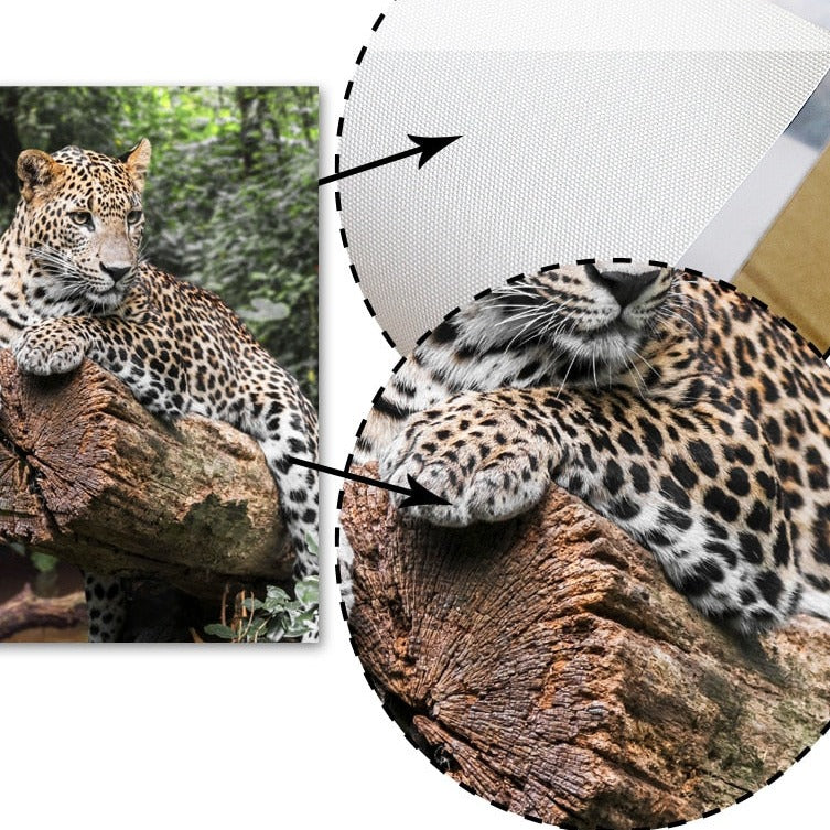 Affiche Jungle Coco Déco-exotique.fr