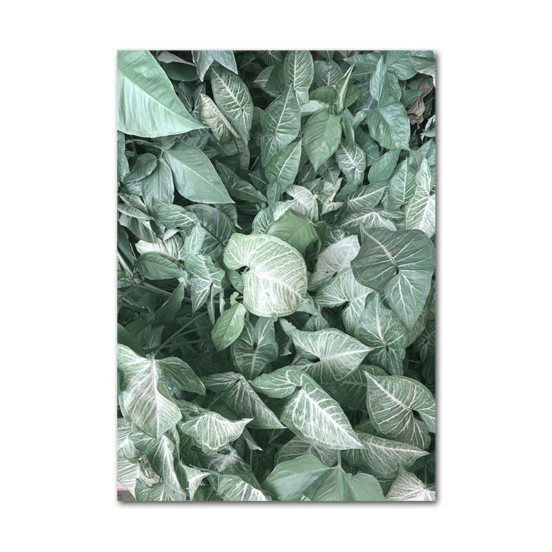 Affiche Jungle Plantes Déco-exotique.fr
