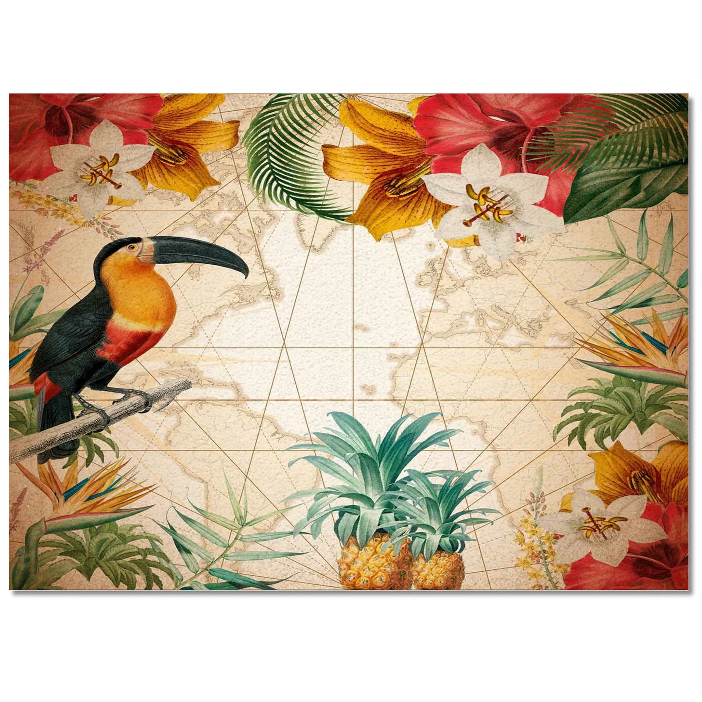 Tapis Exotique Toucan Déco-exotique.fr