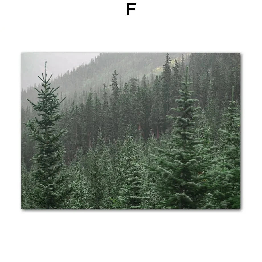 Poster Jungle Brume Déco-exotique.fr