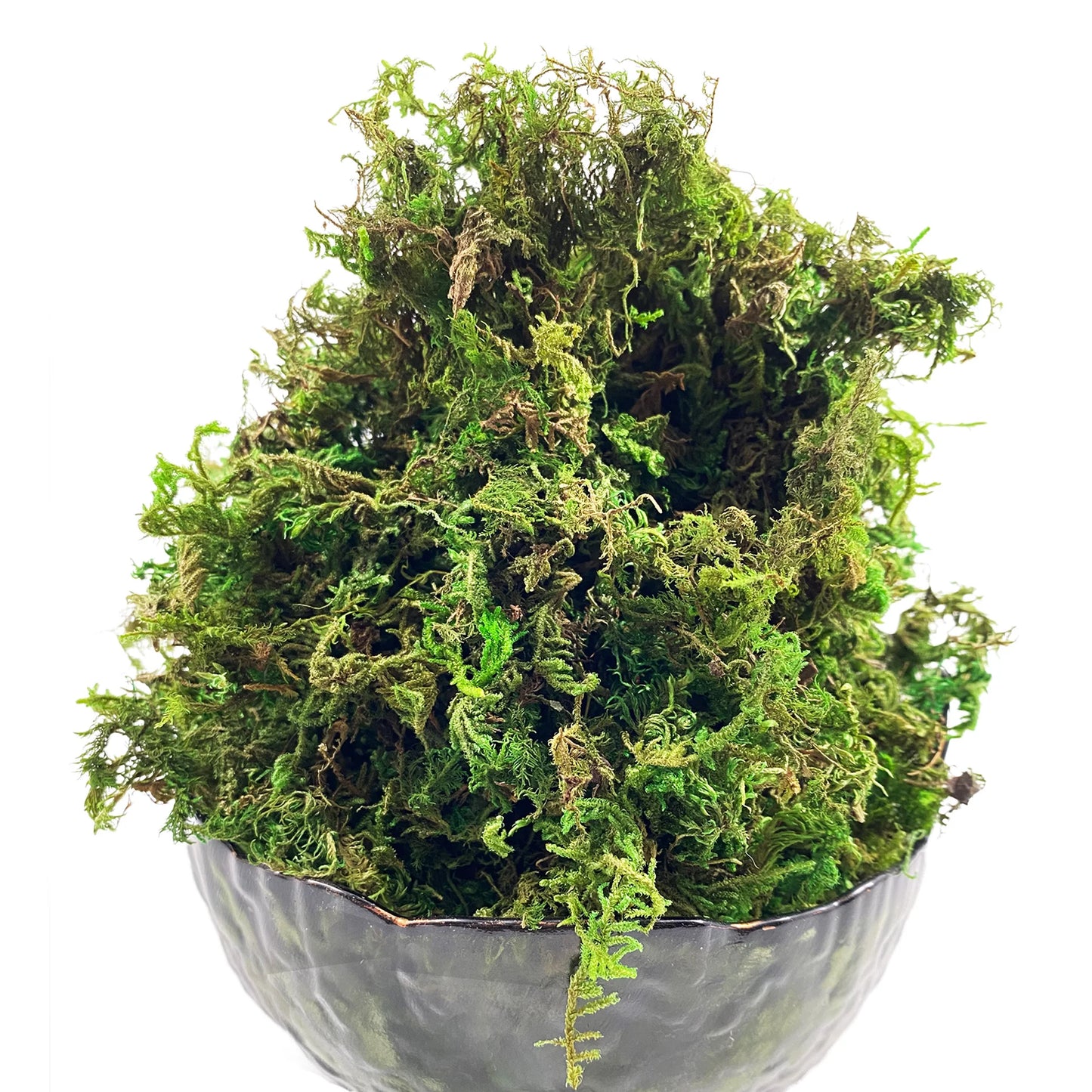 Mousse Artificielle pour Fleurs- Déco Exotique