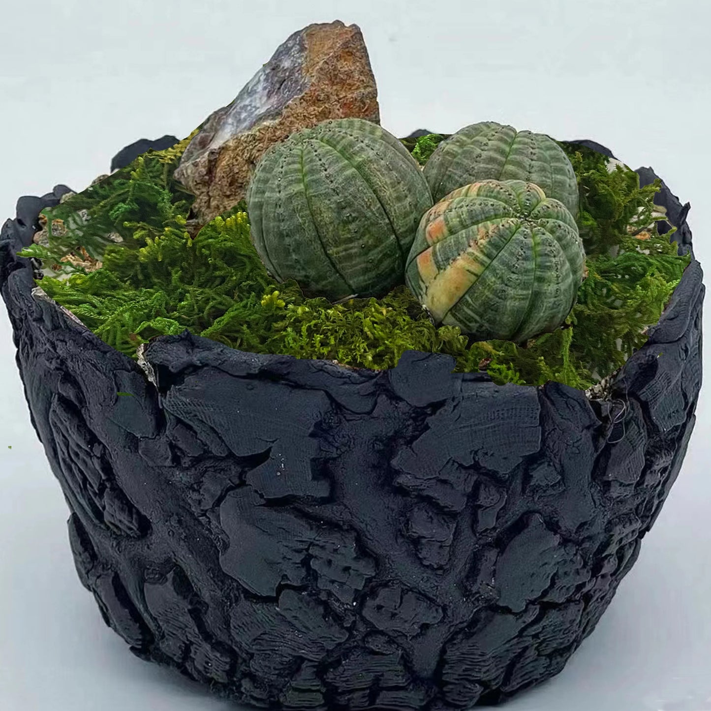 Mousse Artificielle pour Fleurs- Déco Exotique
