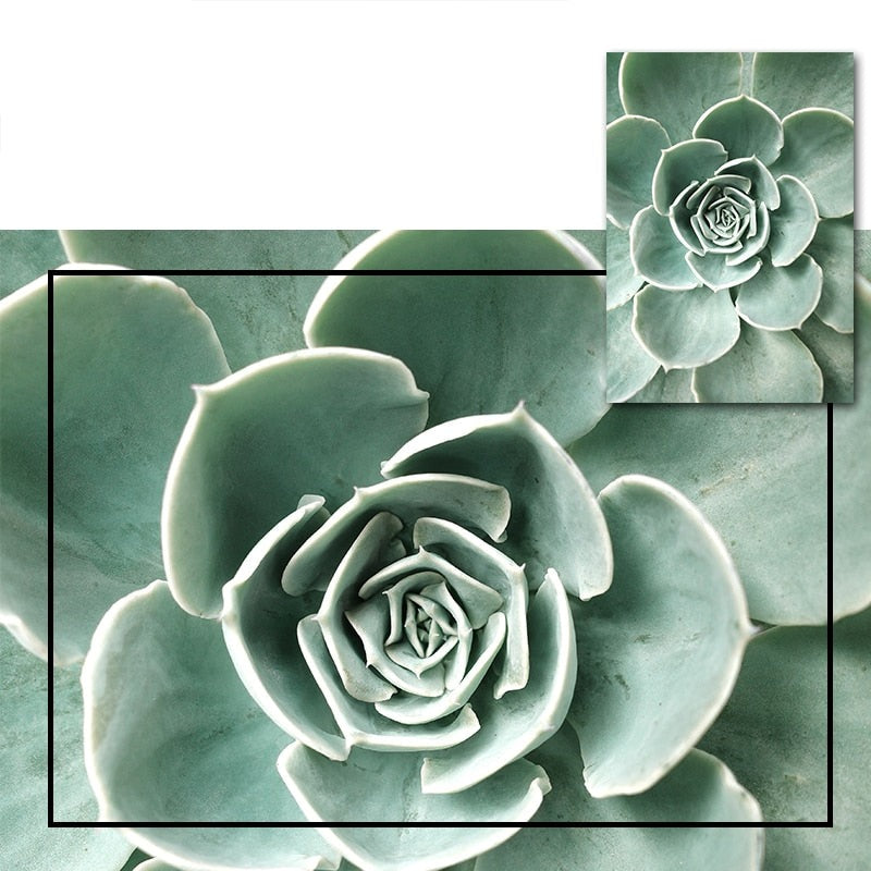 Affiche Jungle Plantes Déco-exotique.fr