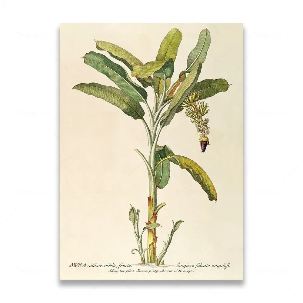 Poster Vintage Tropical Déco-exotique.fr