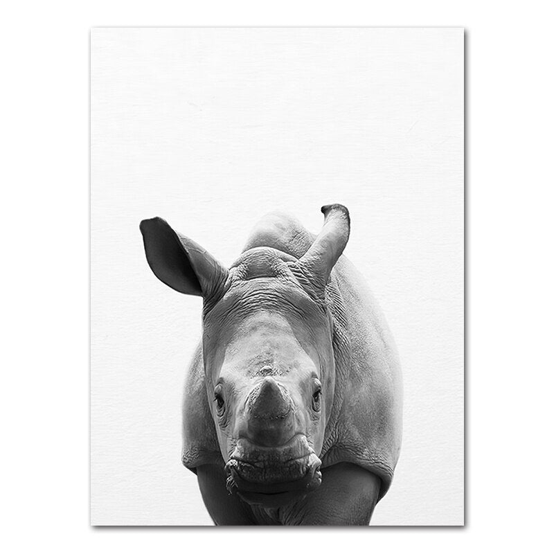 Affiche bébé Animaux noir et blanc Déco-exotique.fr