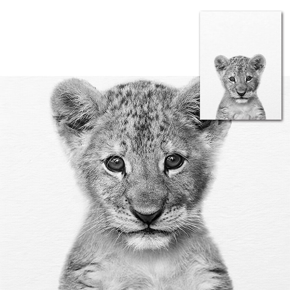Affiche bébé Animaux noir et blanc Déco-exotique.fr
