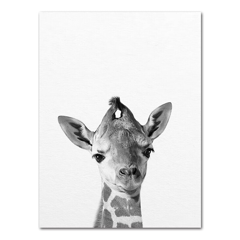 Affiche bébé Animaux noir et blanc Déco-exotique.fr