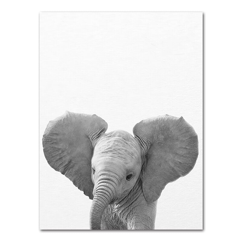Affiche bébé Animaux noir et blanc Déco-exotique.fr