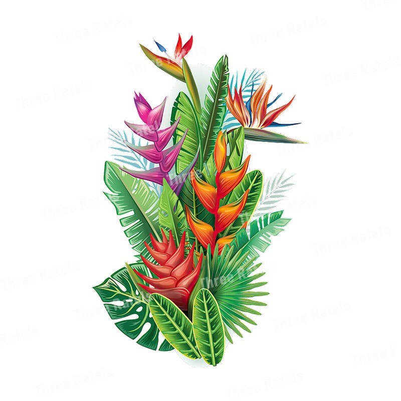 Stickers Fleurs Exotiques Déco-exotique.fr