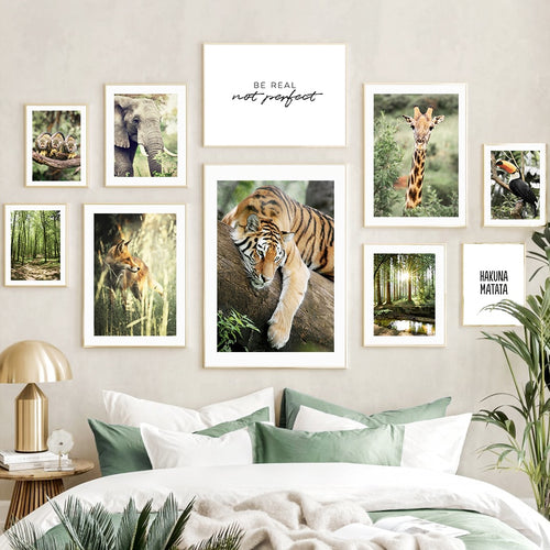 Affiche animaux Jungle et Forêt Déco-exotique.fr