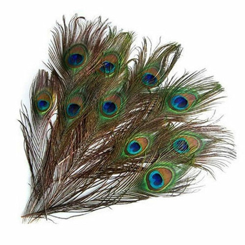 Plumes de Paon Naturelles Déco-exotique.fr
