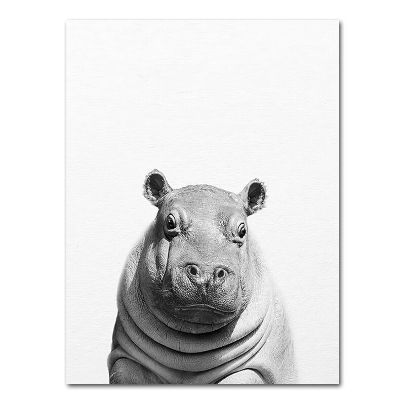 Affiche bébé Animaux noir et blanc Déco-exotique.fr