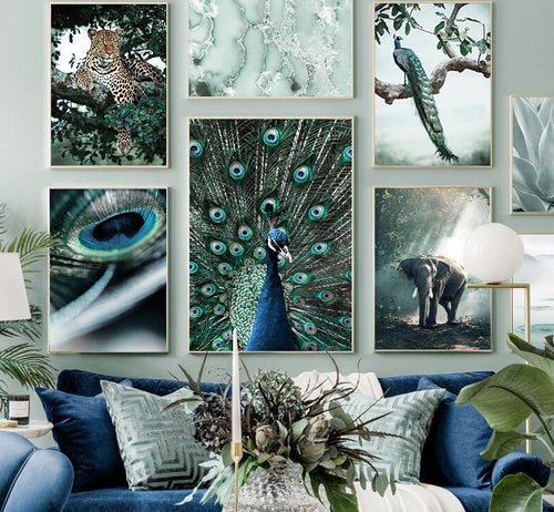 Affiche Paon Déco-exotique.fr