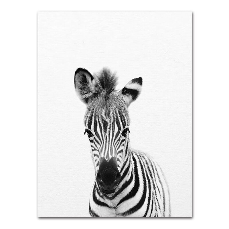 Affiche bébé Animaux noir et blanc Déco-exotique.fr