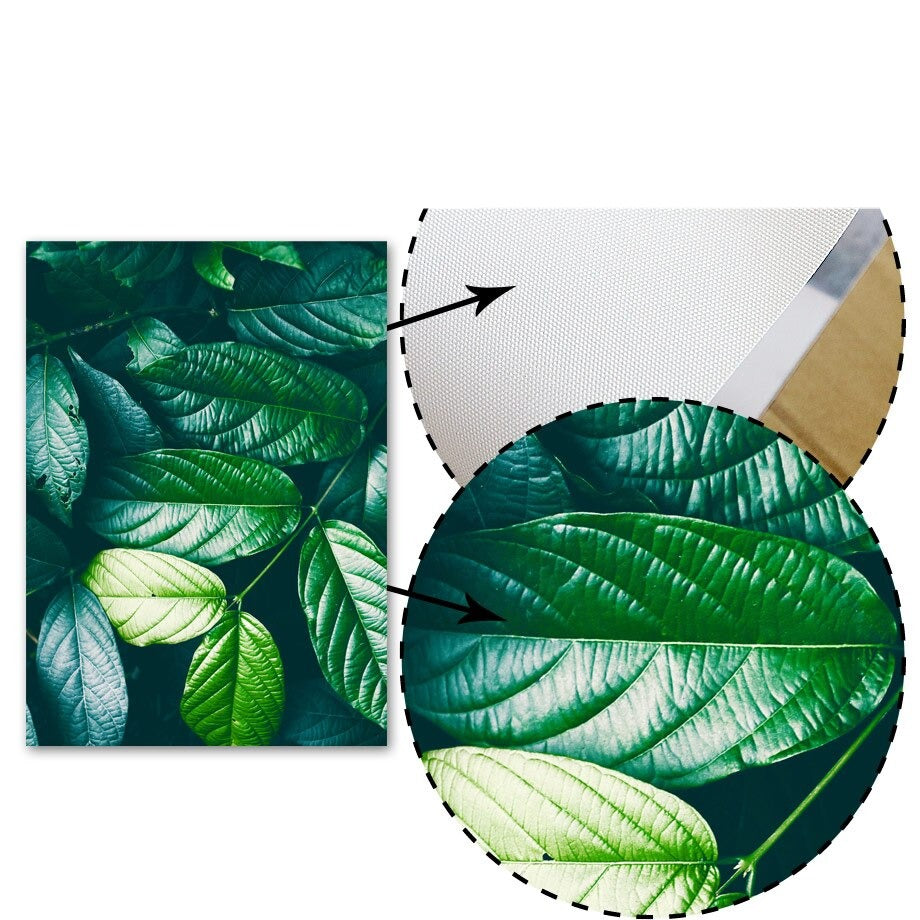 Affiche feuille tropicale Déco-exotique.fr