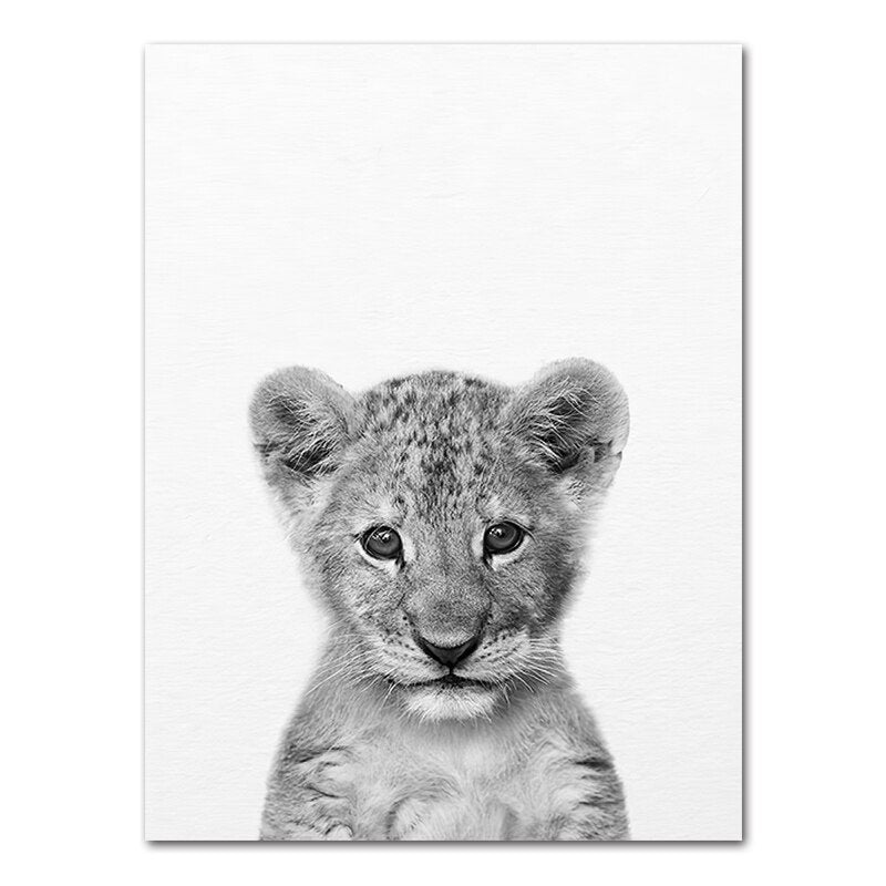 Affiche bébé Animaux noir et blanc Déco-exotique.fr