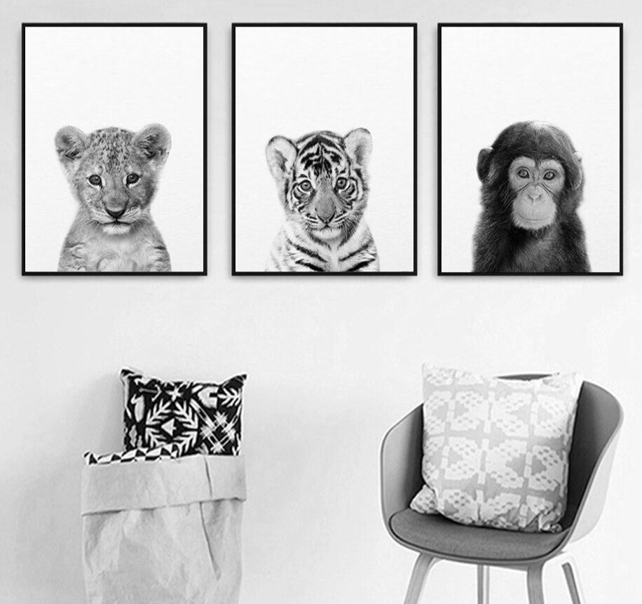 Affiche bébé Animaux noir et blanc Déco-exotique.fr