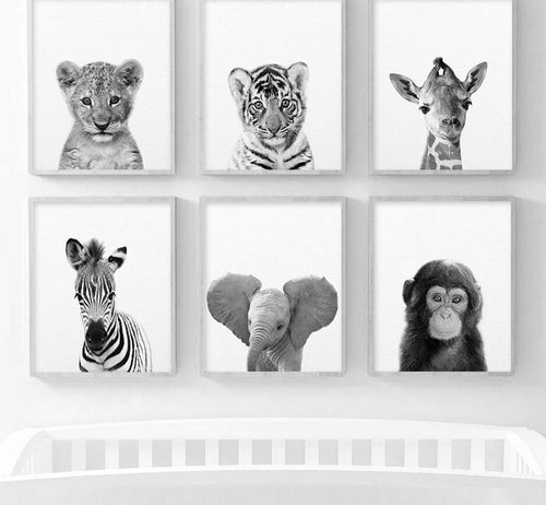 Affiche bébé Animaux noir et blanc Déco-exotique.fr