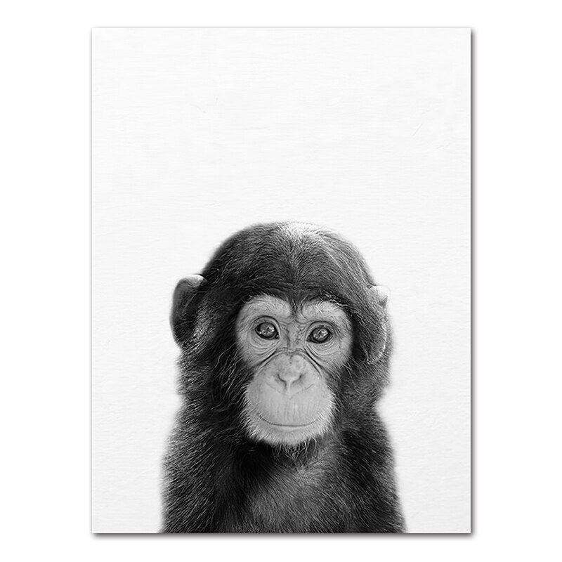 Affiche bébé Animaux noir et blanc Déco-exotique.fr