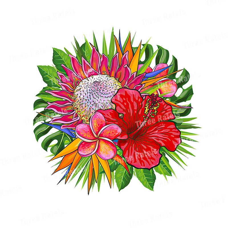 Stickers Fleurs Exotiques Déco-exotique.fr