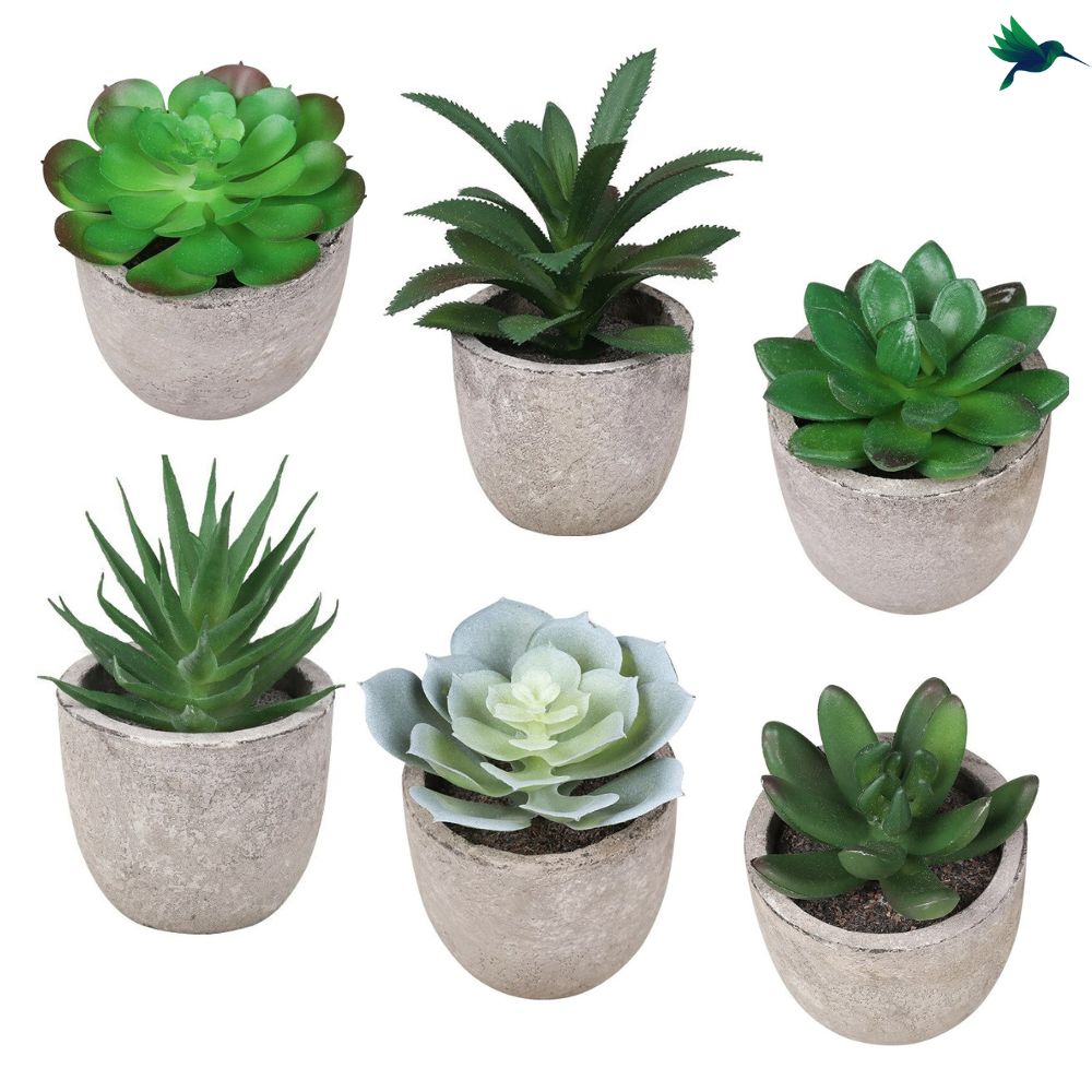 5 Succulentes Artificielles Avec Pot - Mini Plantes Grasses Fausses Déco Intérieur/Extérieur - Bureau, Salon, Table, Jardin