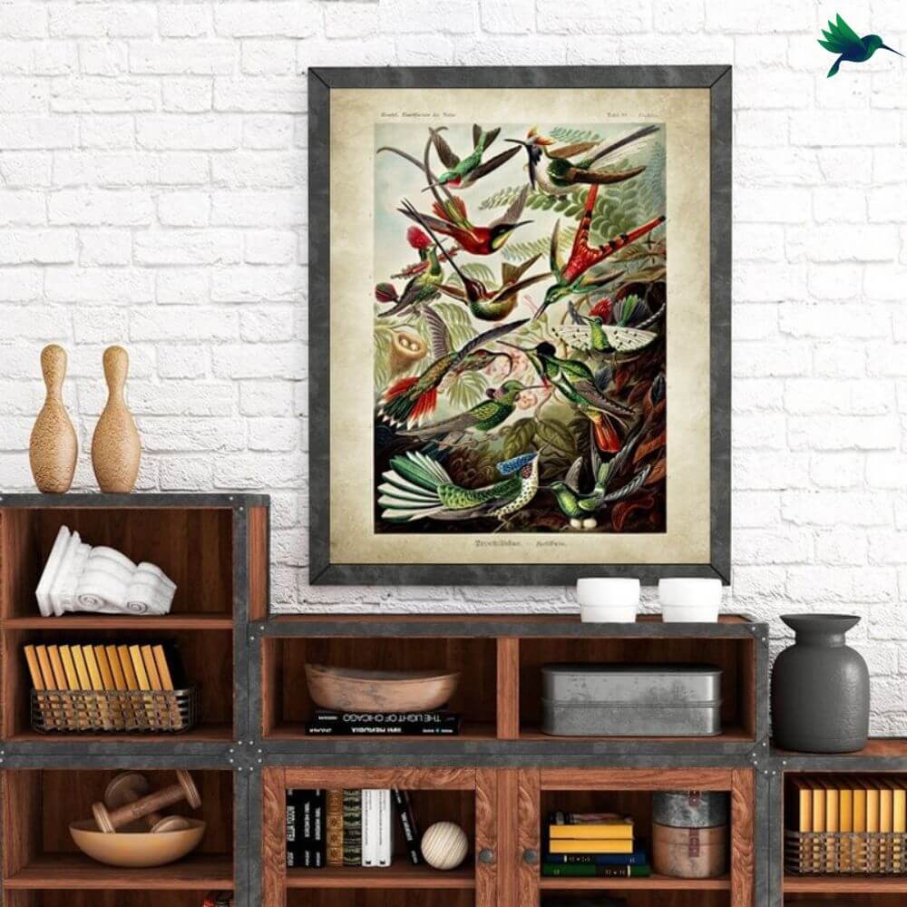 Poster Jungle Vintage Déco-exotique.fr