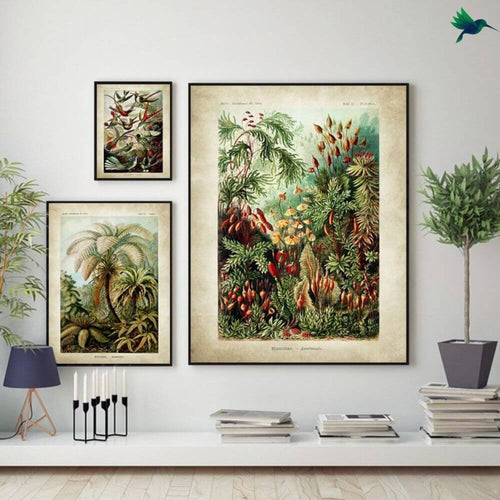 Poster Jungle Vintage Déco-exotique.fr