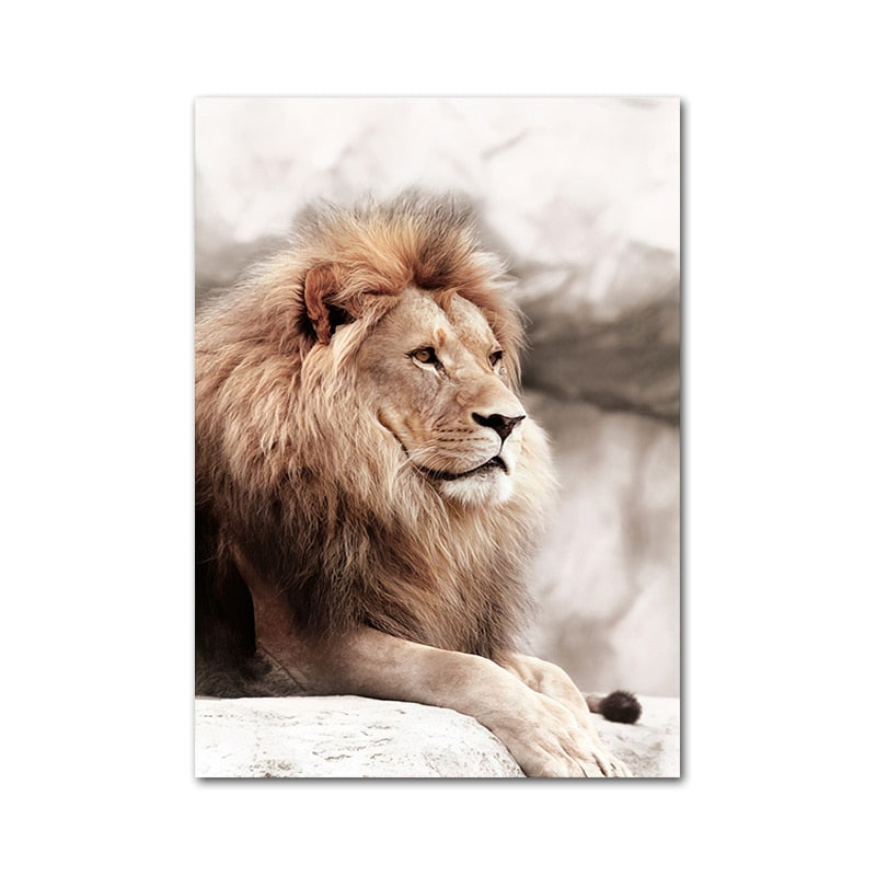 Affiche Animaux Savane Déco-exotique.fr