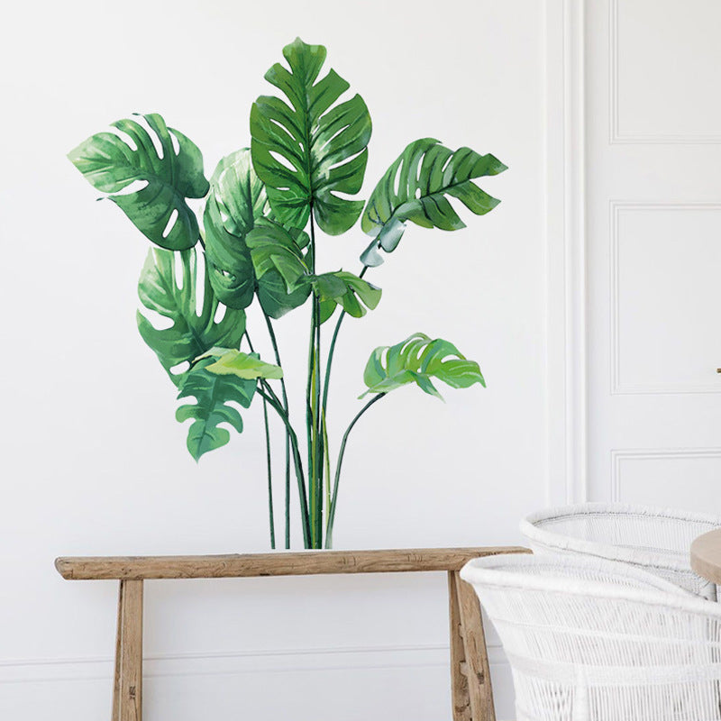 Stickers plante Monstera Déco-exotique.fr