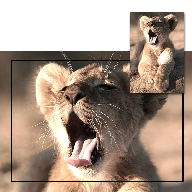 Affiche Animaux Savane Déco-exotique.fr