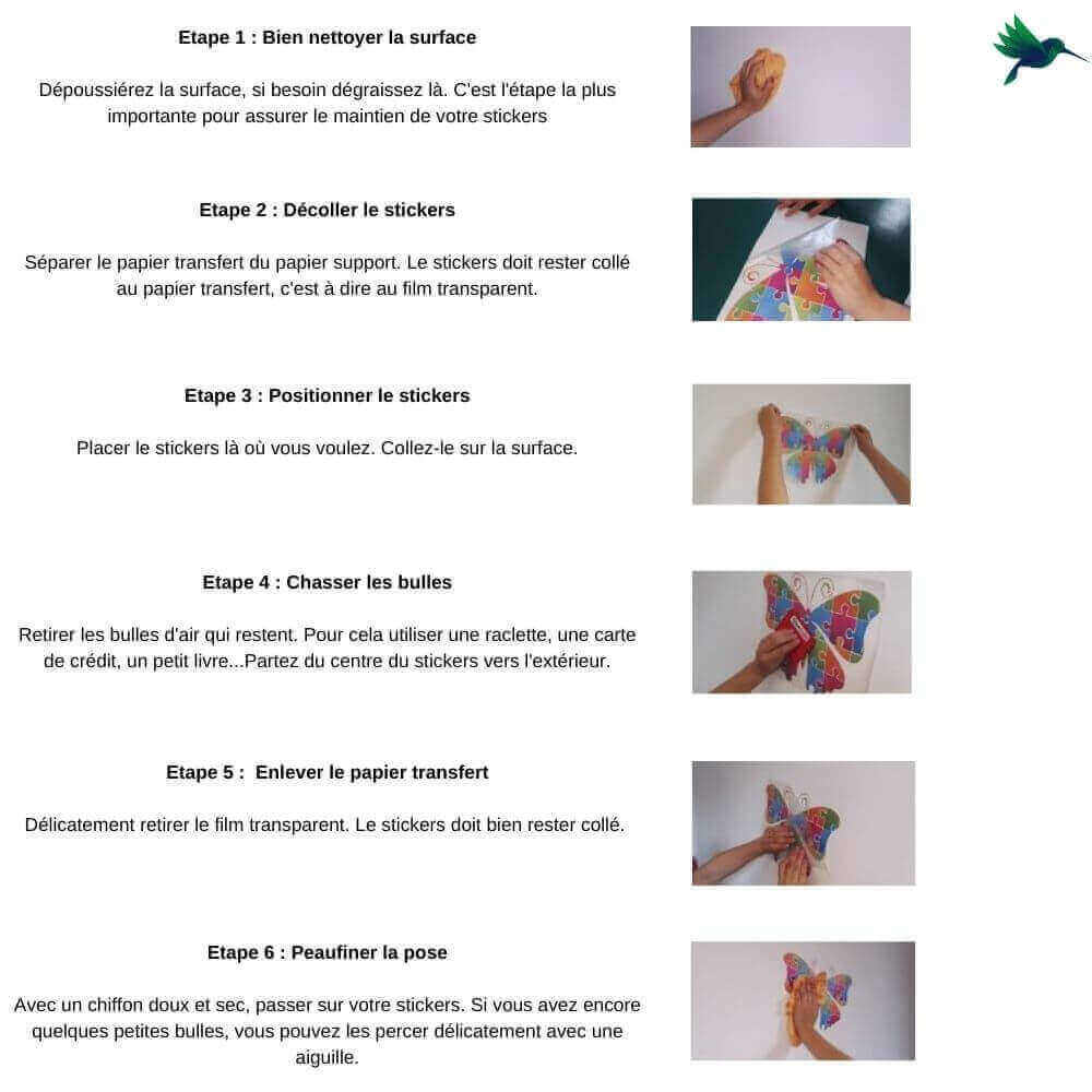 Stickers Feuilles Eucalyptus Déco-exotique.fr