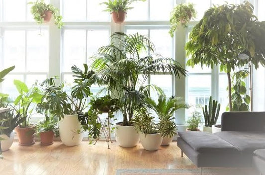 Voyager sans déménager avec la Déco style Exotique!