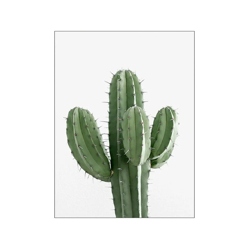 Affiche plante verte