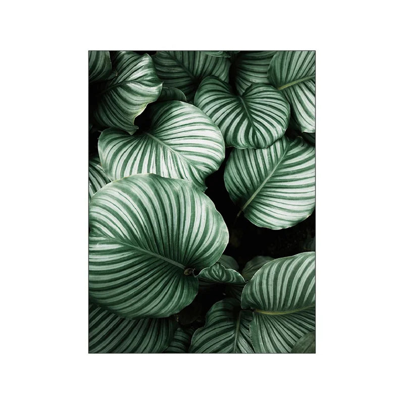 Affiche plante verte