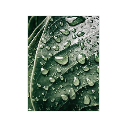 Affiche plante verte
